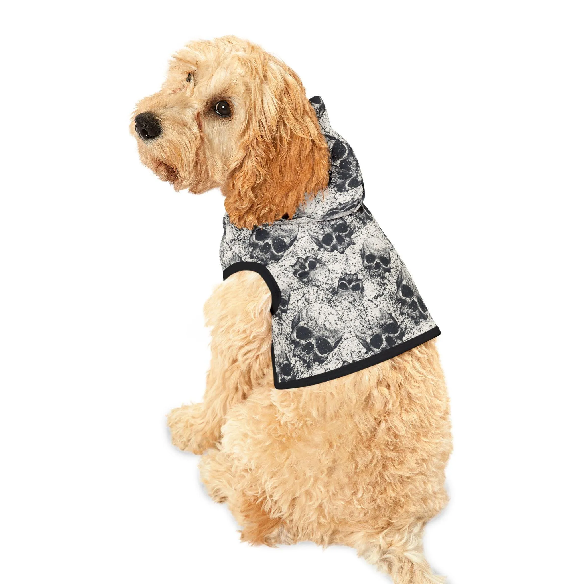 Ancient Skulls Pet Hoodie