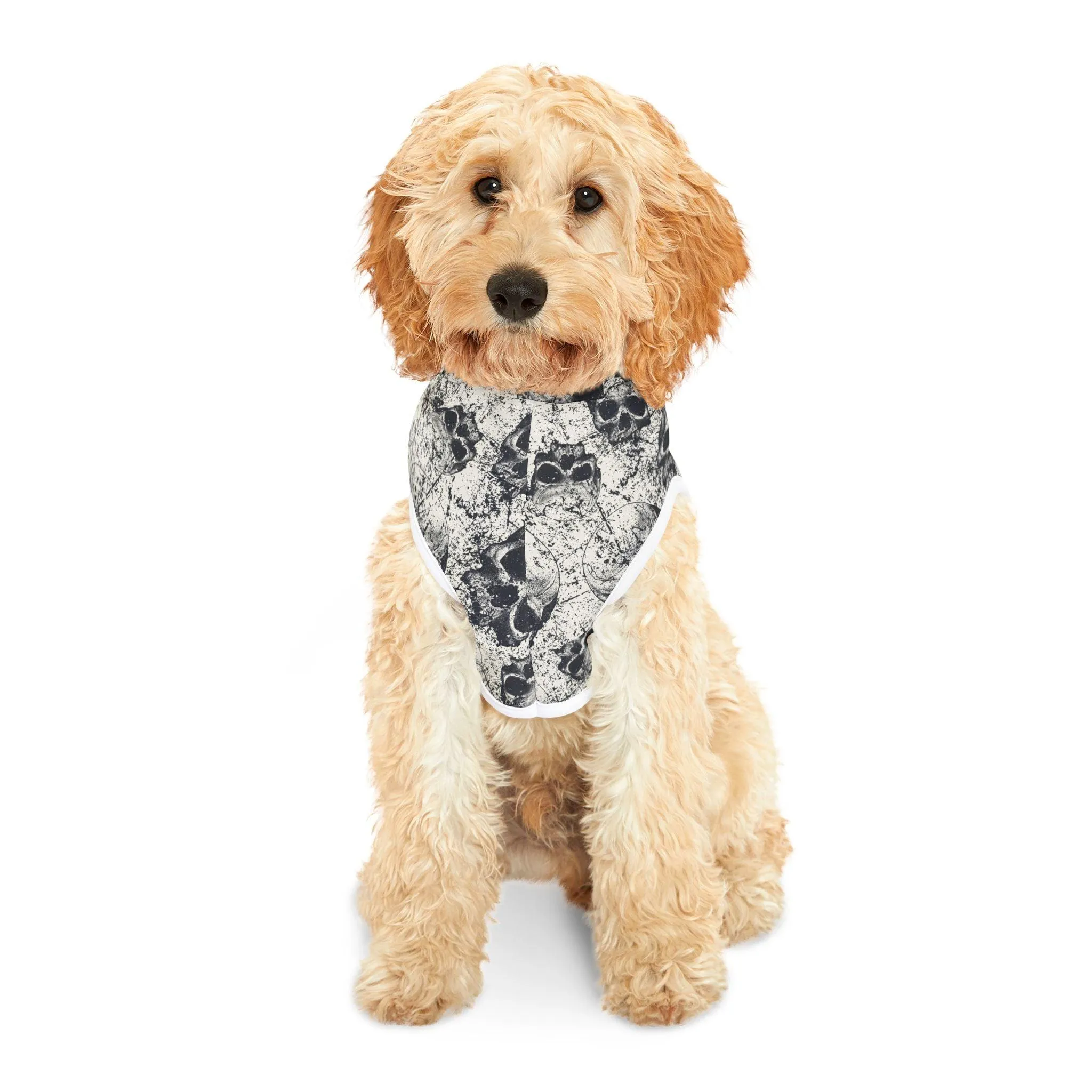 Ancient Skulls Pet Hoodie