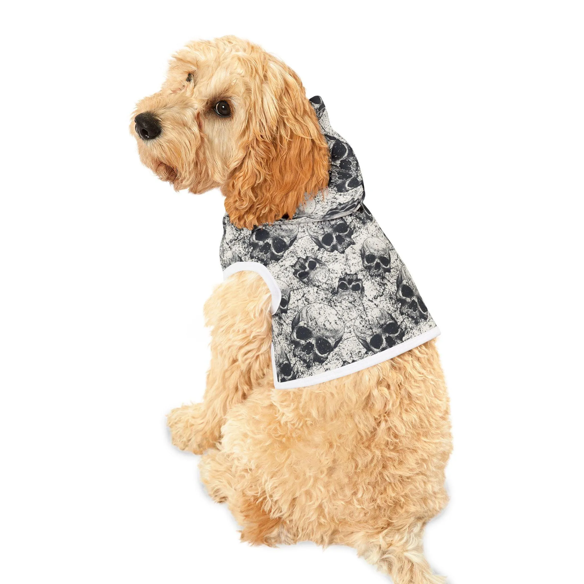 Ancient Skulls Pet Hoodie